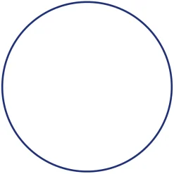 Aro Gimnasia Rítmica Carola Gala 90cm Senior