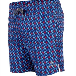 Bañador Sphere Pro Tiles Turtles