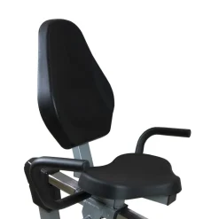 Bicicleta Estática Reclinada BH Artic Comfort Program