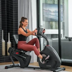 Bicicleta Reclinada Schwinn 510R