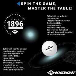 Caja 120 Pelotas Ping Pong Schildkröt T-One