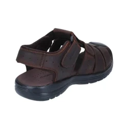 J'hayber Oalina Brown