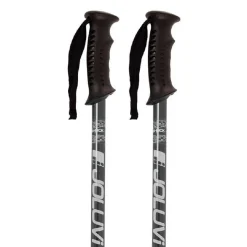 Juego Bastones Trekking Joluvi Ario Plata