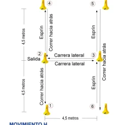 Set 10 Conos 23cm Numerados Zastor Flut-10N