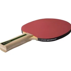 Set Tenis Mesa Enebe Champion