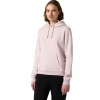 Sudadera Champion Hooded Sweatshirt Rosa